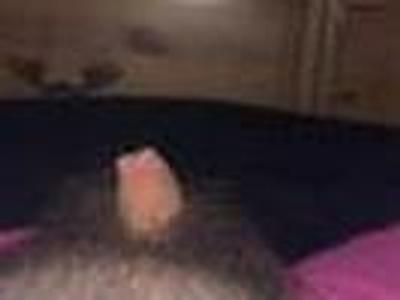 domtrans4sub