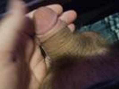 domtrans4sub