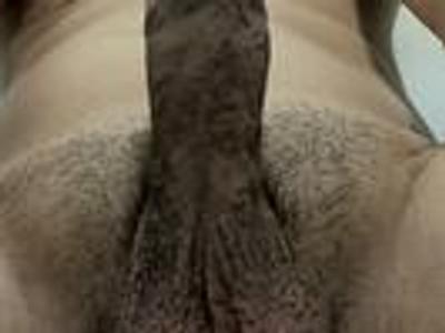 sexxxycock9